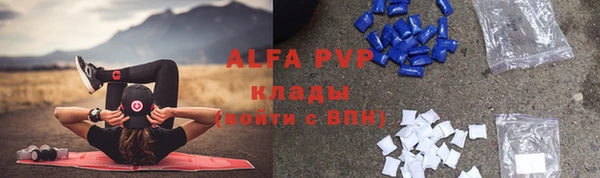 молекула духа Киреевск