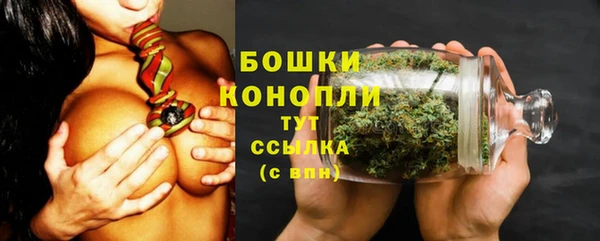 молекула духа Киреевск