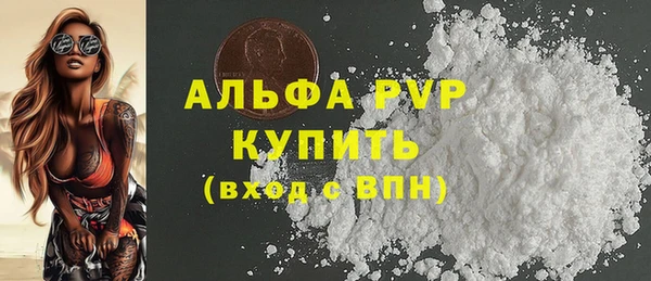 молекула духа Киреевск