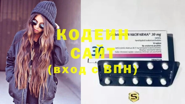 молекула духа Киреевск