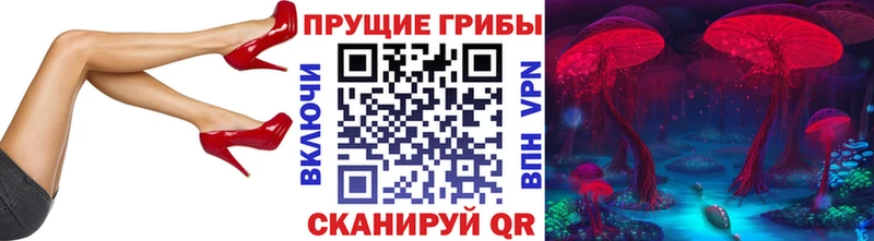Купить  Дмитриев  Псилоцибиновые грибы Psilocybe 